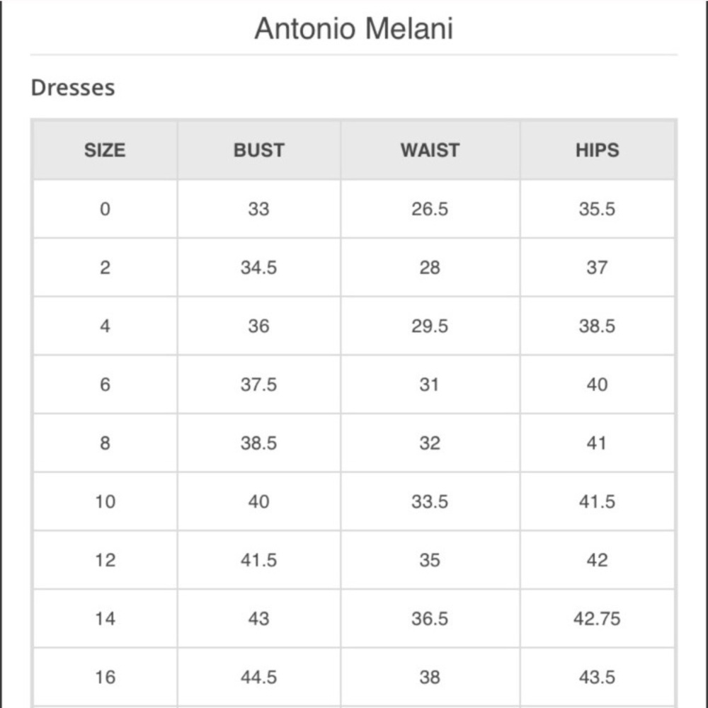 ✨ Antonio Melani Ruffle Dress - Picture 7 of 7